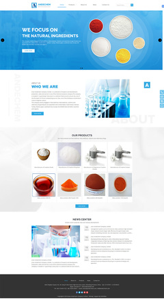 濟南外貿公司網站建設-化工網站制作案例