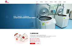 軟件系統開發_小程序商城系統_企業網站建設-濟南白菜網絡專注互聯網16年