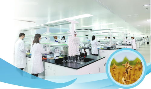 濟南點燃植物基因編輯火種,培育企業拿到國內首張植物基因編輯安全證書